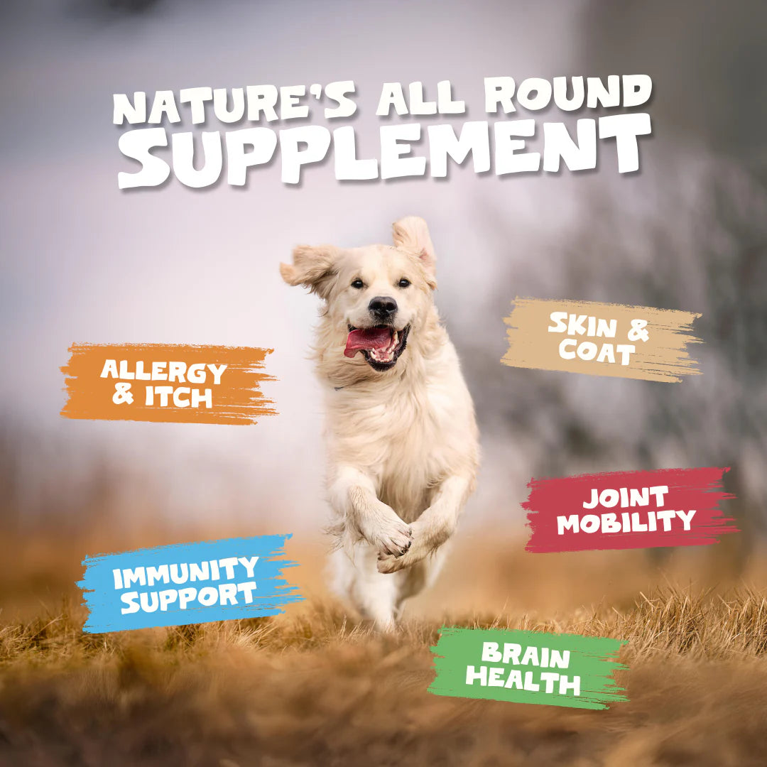 Pets Purest salmon Oil 300ml