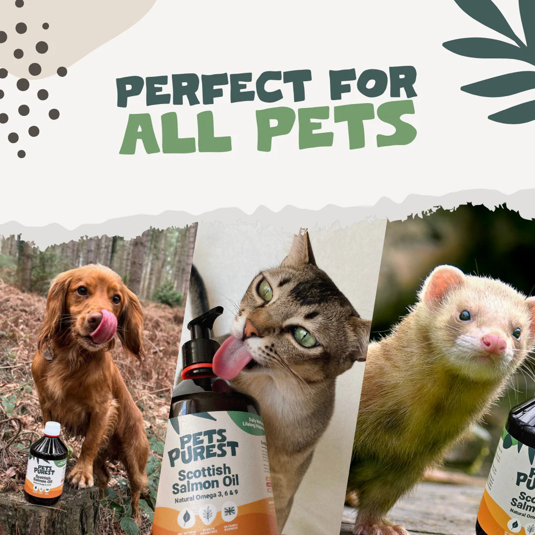Pets Purest salmon Oil 300ml