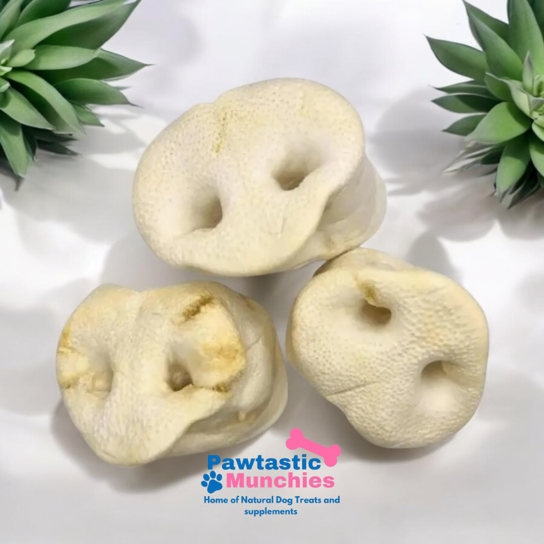 Puffed Pig Snouts