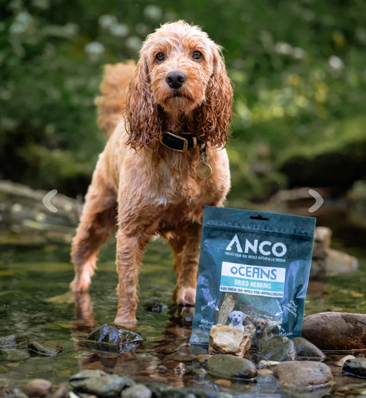 Anco Oceans dried herring dog treats 10 pack – omega-rich natural fish treat