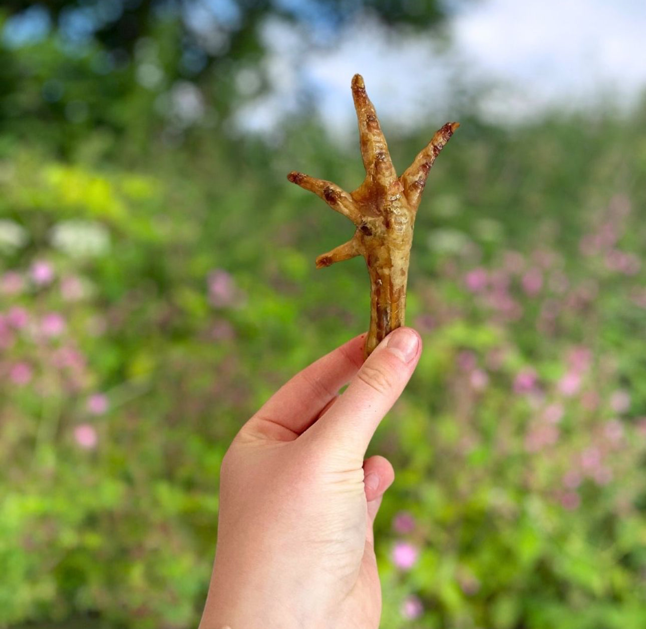Chicken Feet 1KG