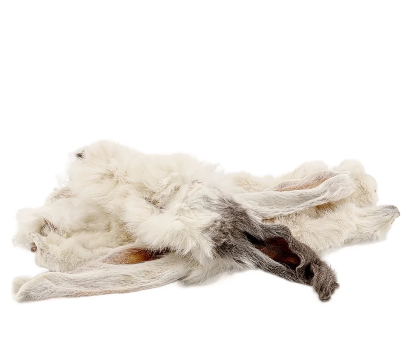 Hairy Rabbit Ears