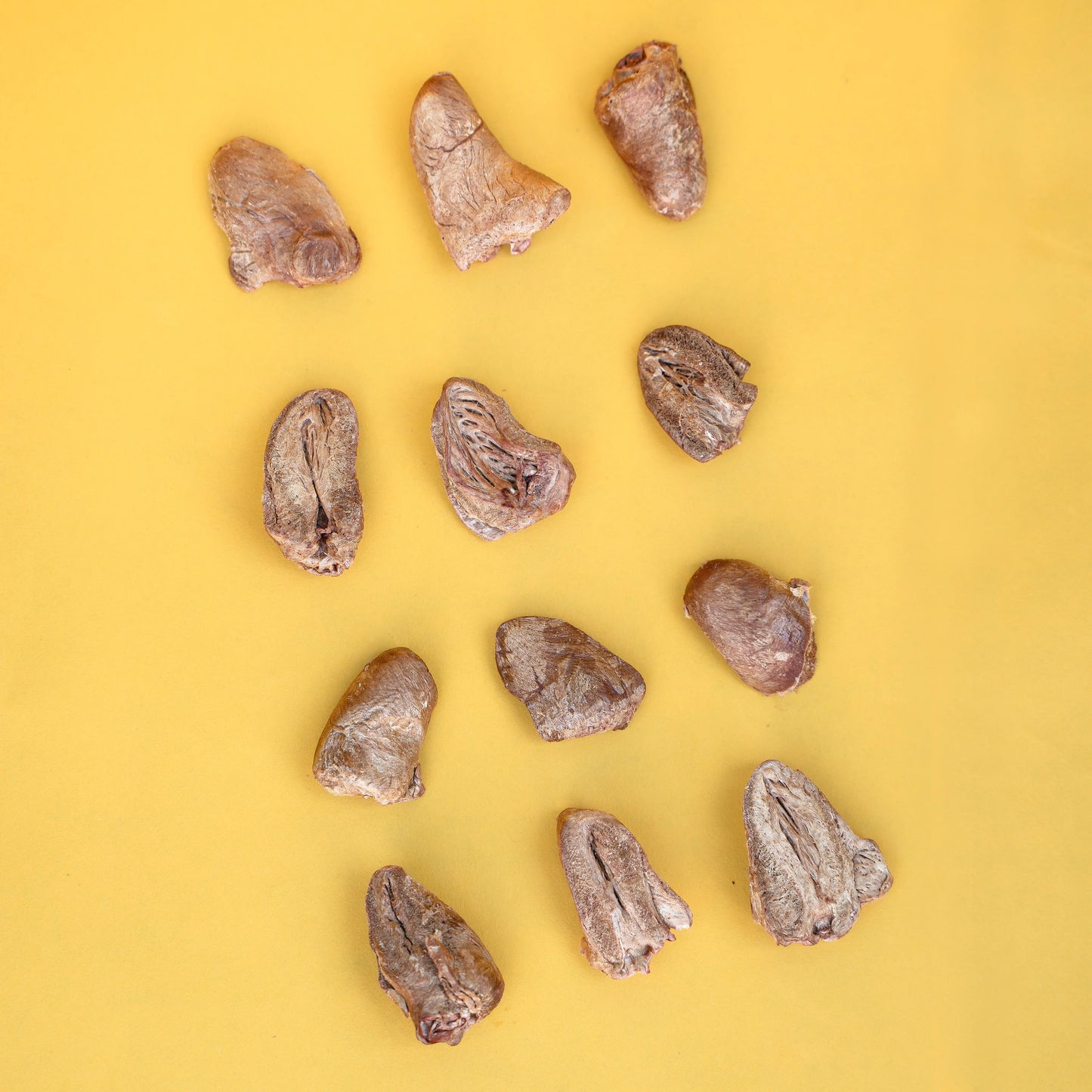 Waita Freeze Dried Chicken Heart 40g For Dogs and Cats