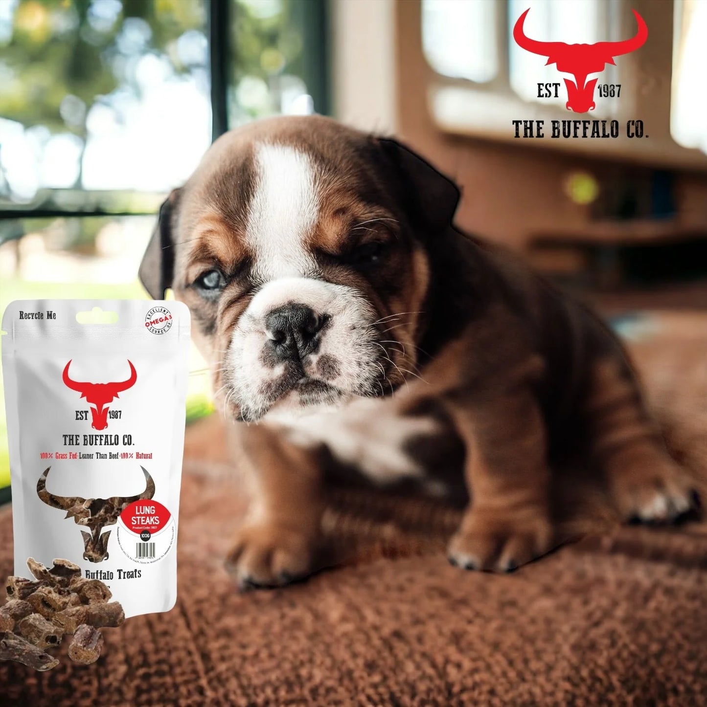 Buffalo Lung Steaks - Natural Dog Treats 100g - 1kg