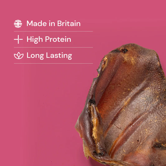 Pig Ears - Natural Long Lasting Dog Treat
