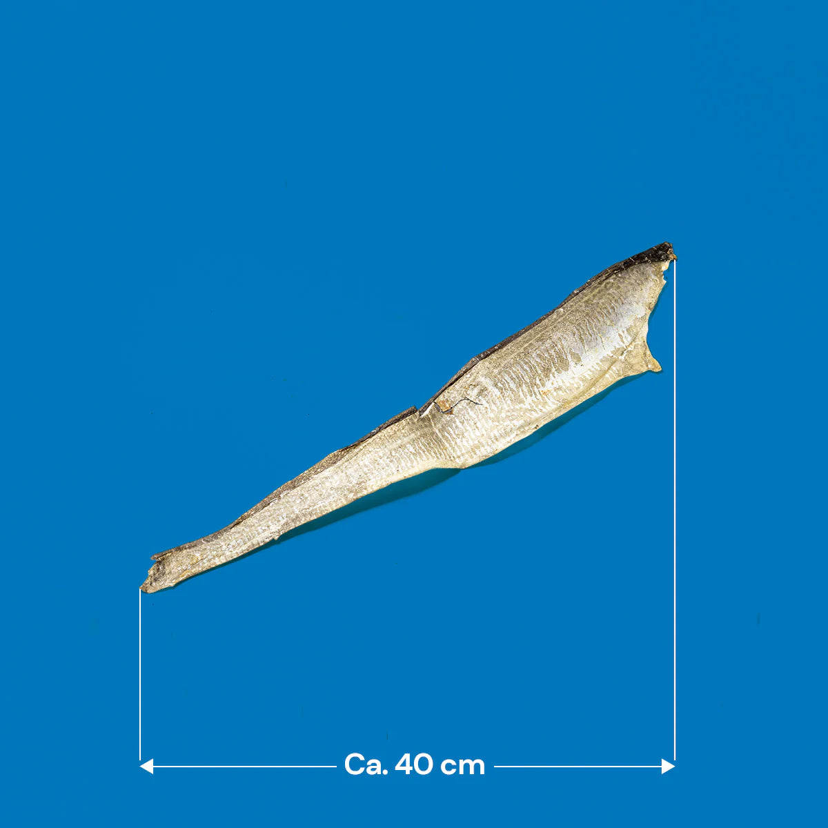 Fish Skin Flats 300g