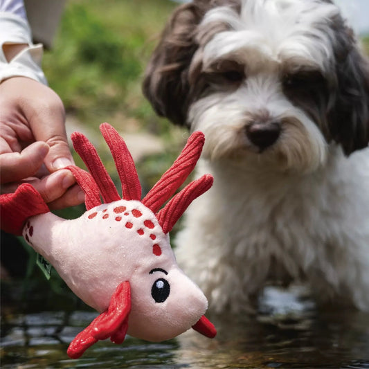 Liontish – Sea Creatures 🦁🐠 Pawtastic Munchies