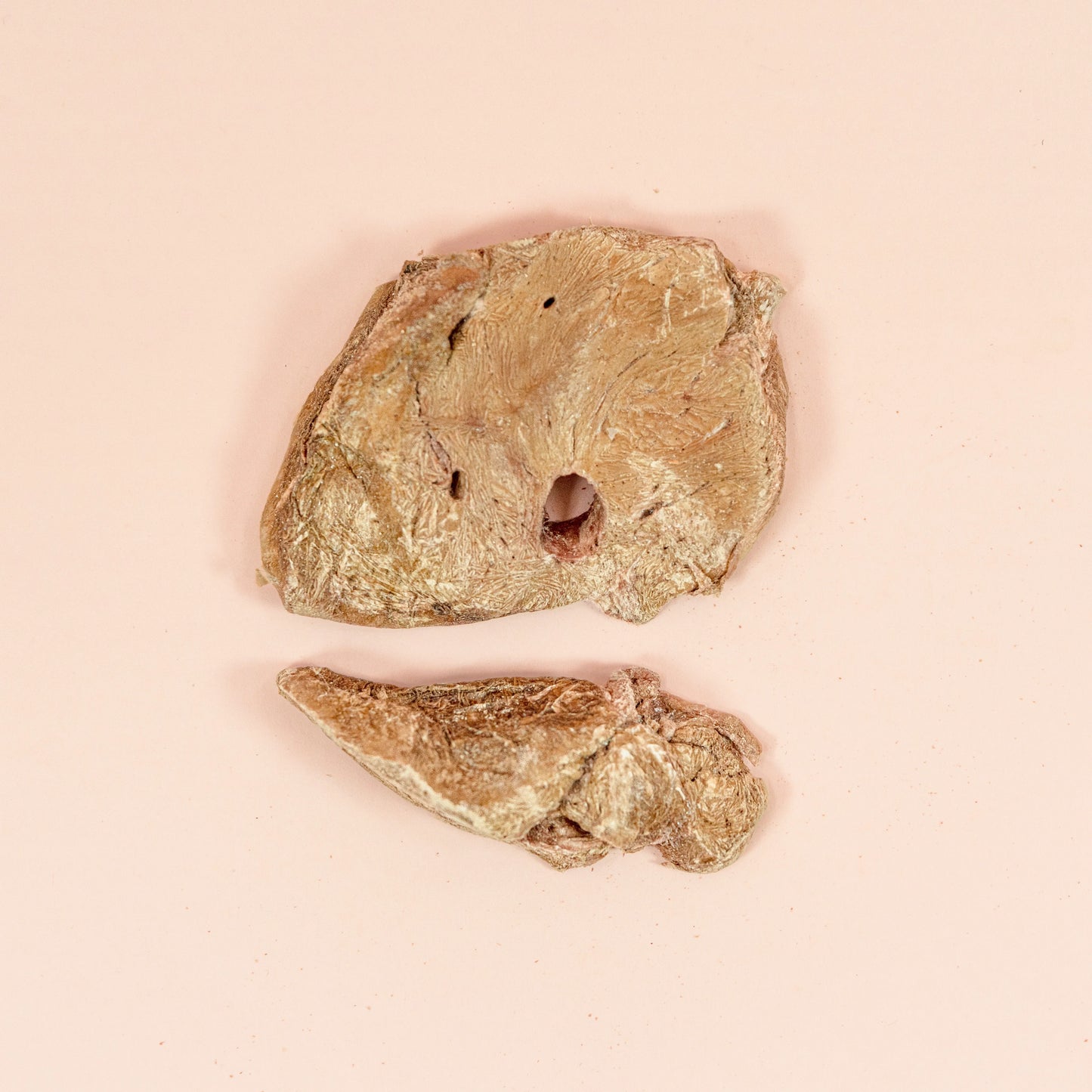 Waita Freeze Dried Ostrich Liver 50g suitable for dogs and cats Waita Pets