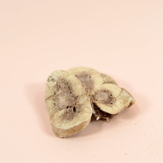 Waita Freeze Dried Beef Kidney 50g | Freeze Dried Natural Treats For Dogs and Cats Pawtastic Munchies