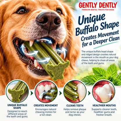 Gently Dently Large Natural Dental Sticks for Dogs Pawtastic Munchies