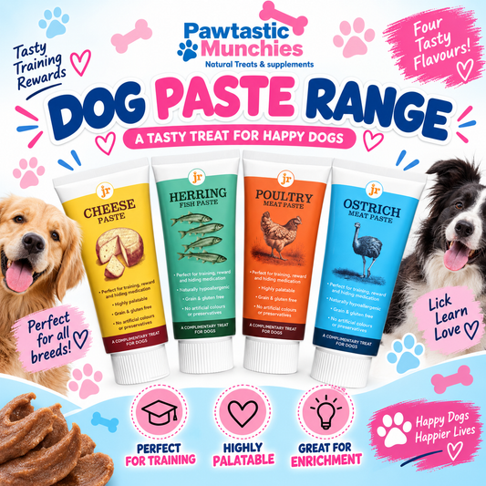 Jr Pet Products Paste - Training Treats / Training Paste JR Pet Products