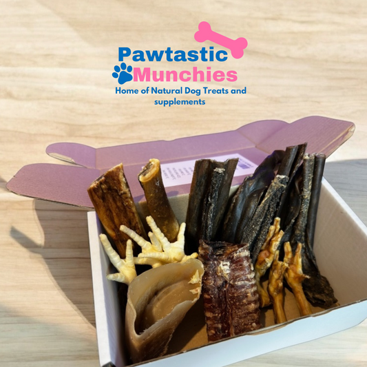 Pawtastic Munchies Taster box - Natural Dog Treats