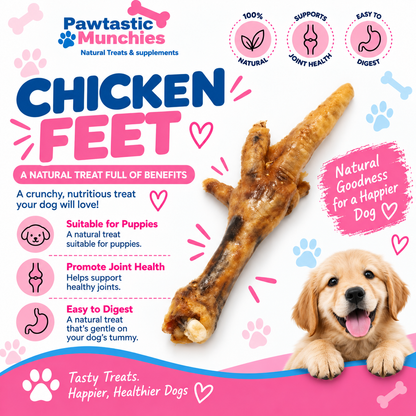 Chicken Feet Pawtastic Munchies