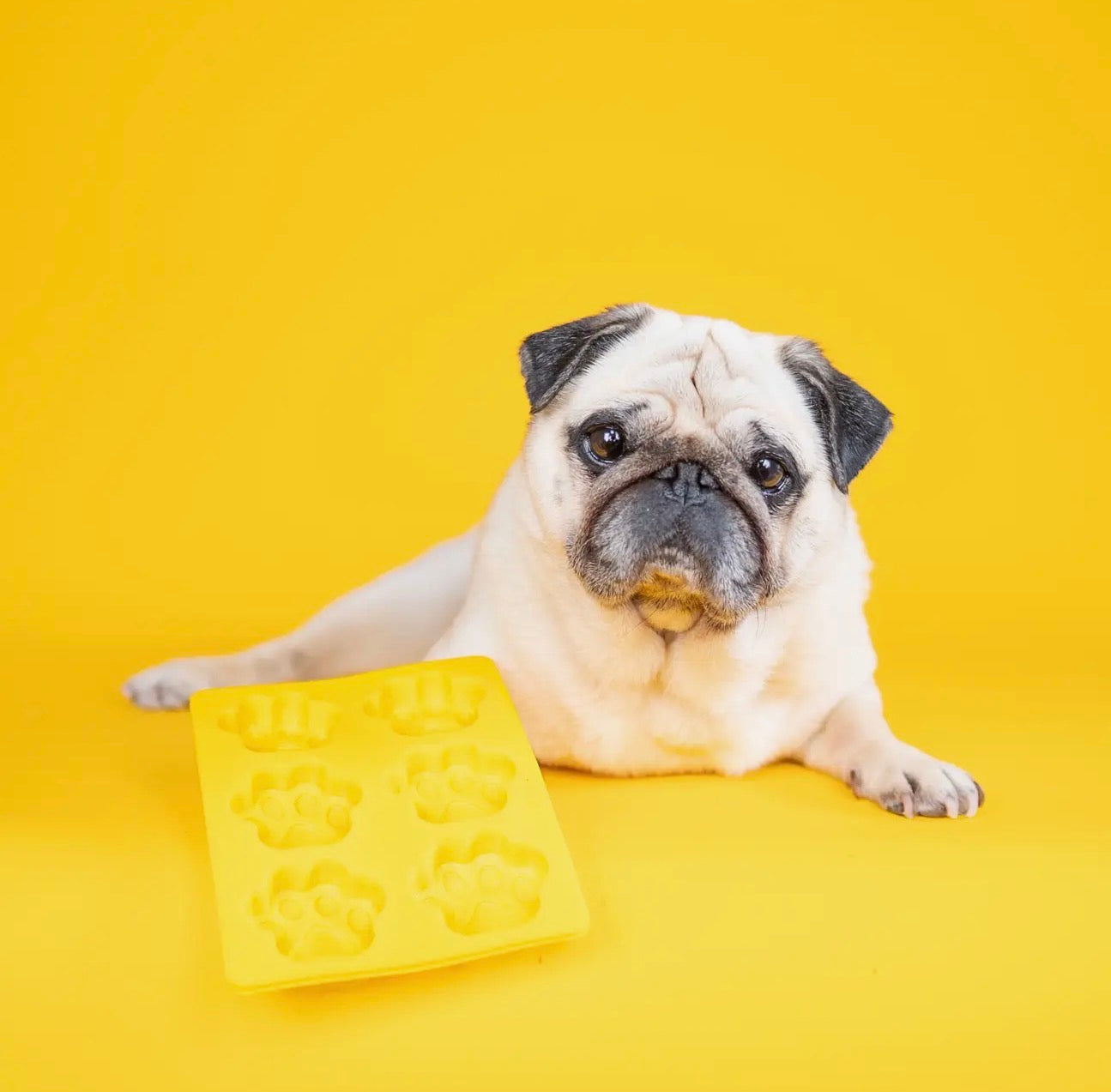 6-Paw Silicone Mould for Baking and Freezing (2-Pack, Yellow)