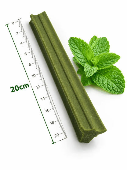Gently Dently Large Natural Dental Sticks for Dogs Pawtastic Munchies