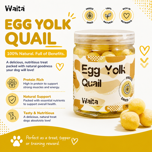 Waita Freeze Dried Quail Egg Yolk 70g suitable for dogs and cats Pawtastic Munchies