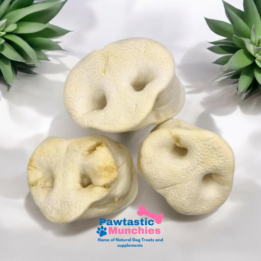 Puffed Pig Snouts
