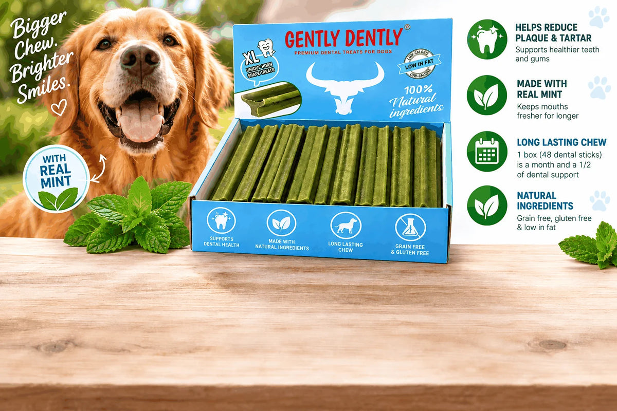 Gently Dently Large Natural Dental Sticks for Dogs Pawtastic Munchies