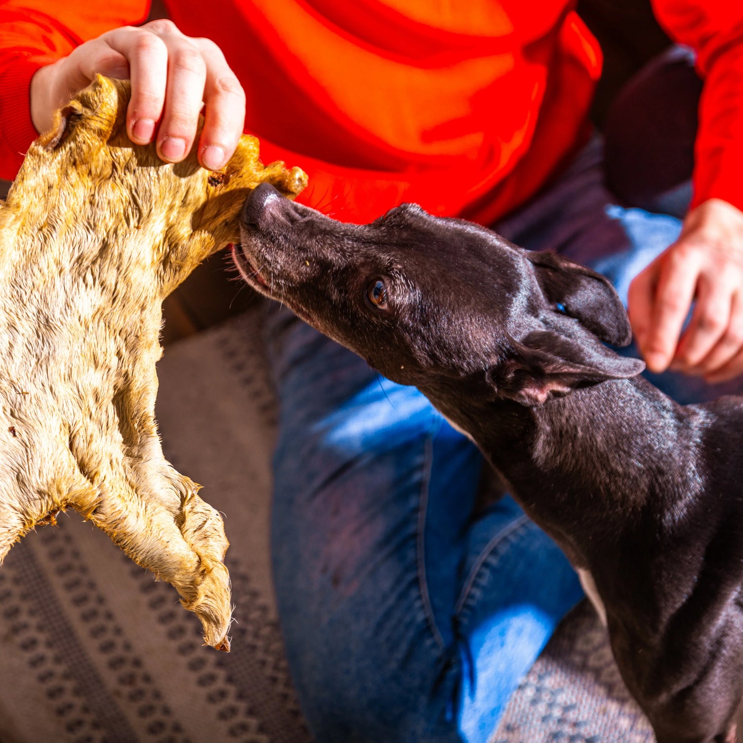 Hairy Beef Bark - Long Ladting Dog Treat
