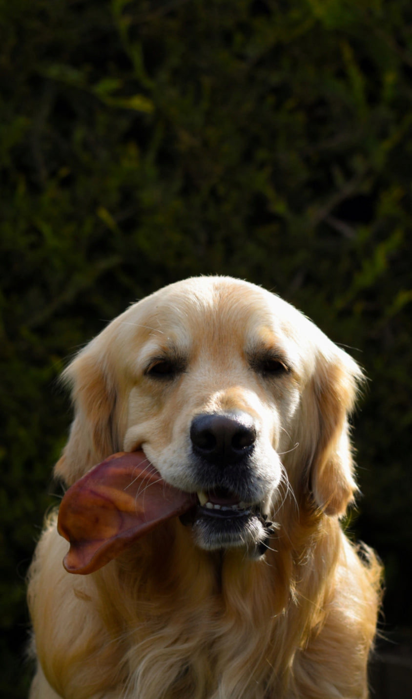 Pigs Ears