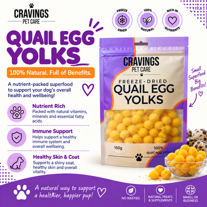 Cravings Pet Care Quail Egg Yolks Treat | Freeze-Dried Food Topper Treat for Cats & Dogs | 100% Quail Egg Yolks | 150g Pawtastic Munchies