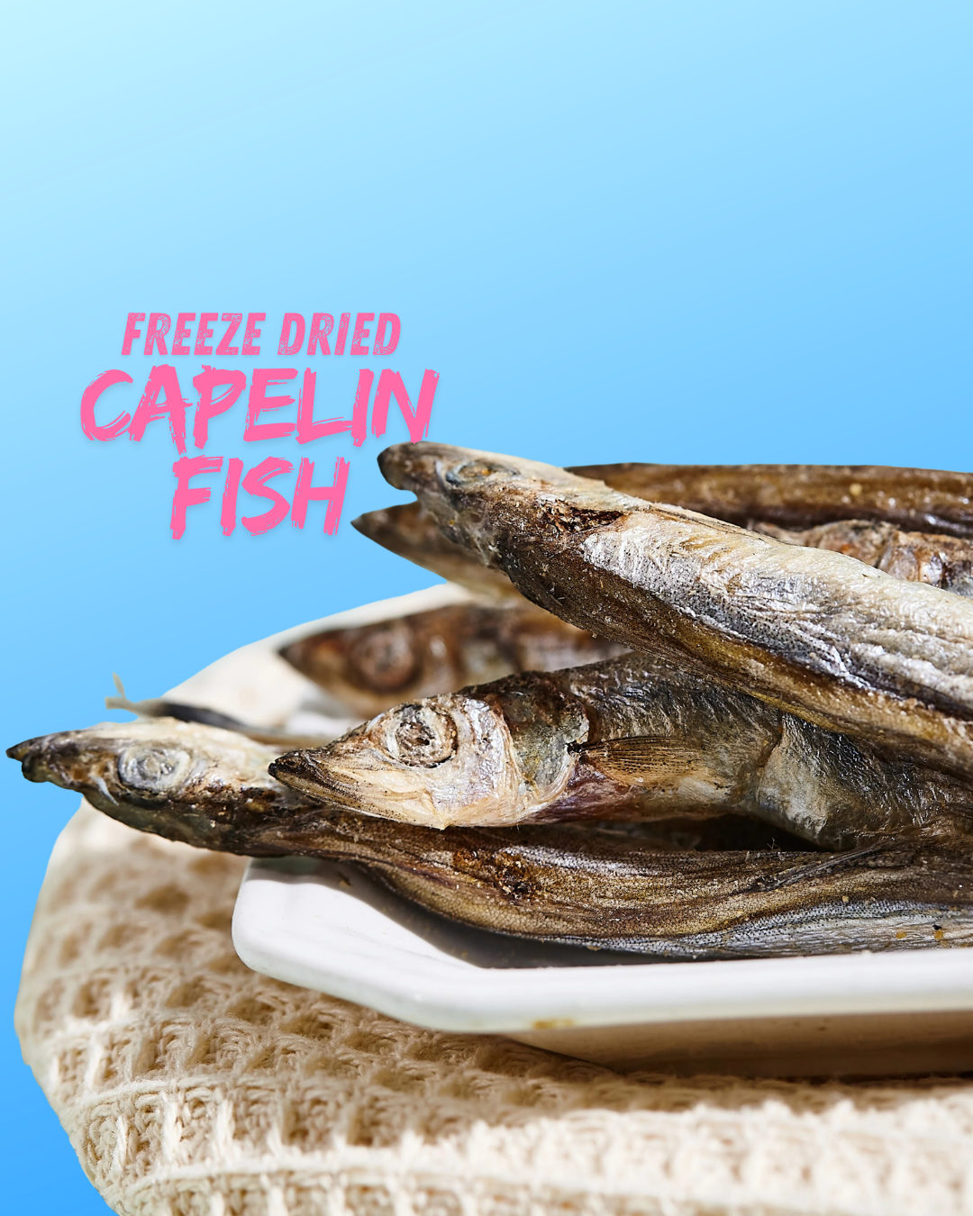 Pawtastic Munchies Freeze Dried Capelin Fish Natural Dog & Cat Treat Pawtastic Munchies