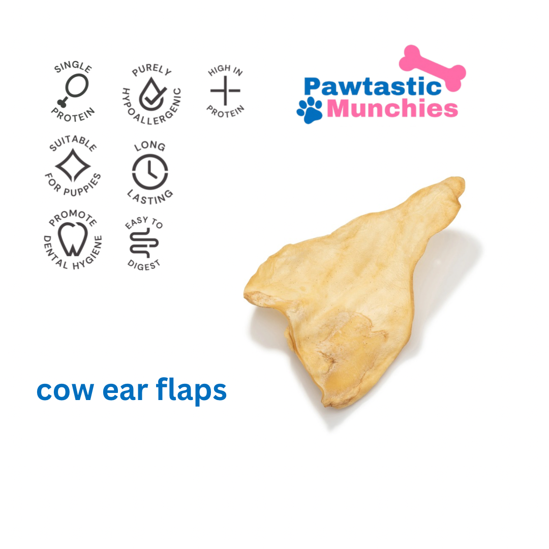 Large Cow Ear Flaps for Dogs | Low Fat Natural Chew | Pawtastic Munchi ...