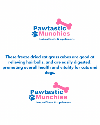 Freeze Dried Cat Grass Cubes 130g