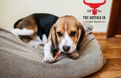 Buffalo Tail 200g Natural Dog Chew Natural Dog Treats