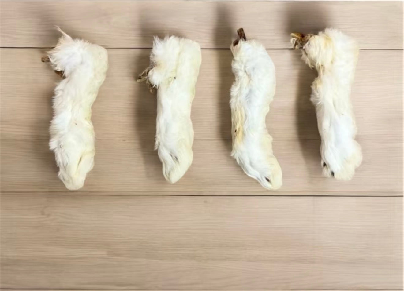 Hairy Rabbit Feet