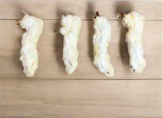 Hairy Rabbit Feet