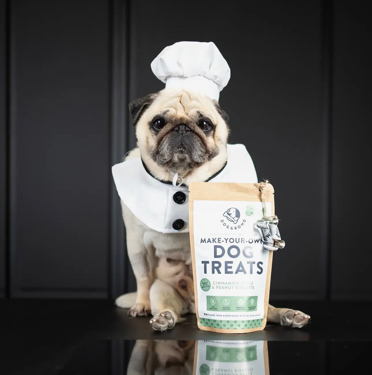 Make-Your-Own Dog Treats: with Cookie Cutter! 2 Flavours