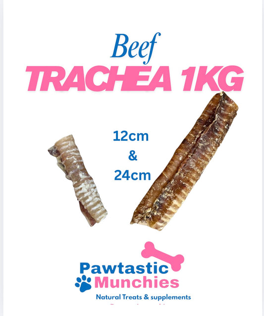 Beef Trachea 24cm long lasting dog treat
