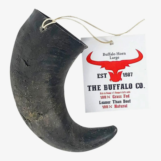 Buffalo Horn-Large (6-8 inch) Natural Long Lasting Dog Treat