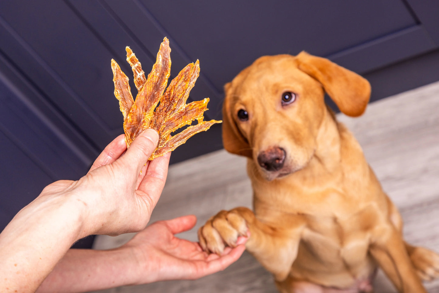 150g Duck Jerky