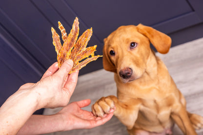 150g Duck Jerky