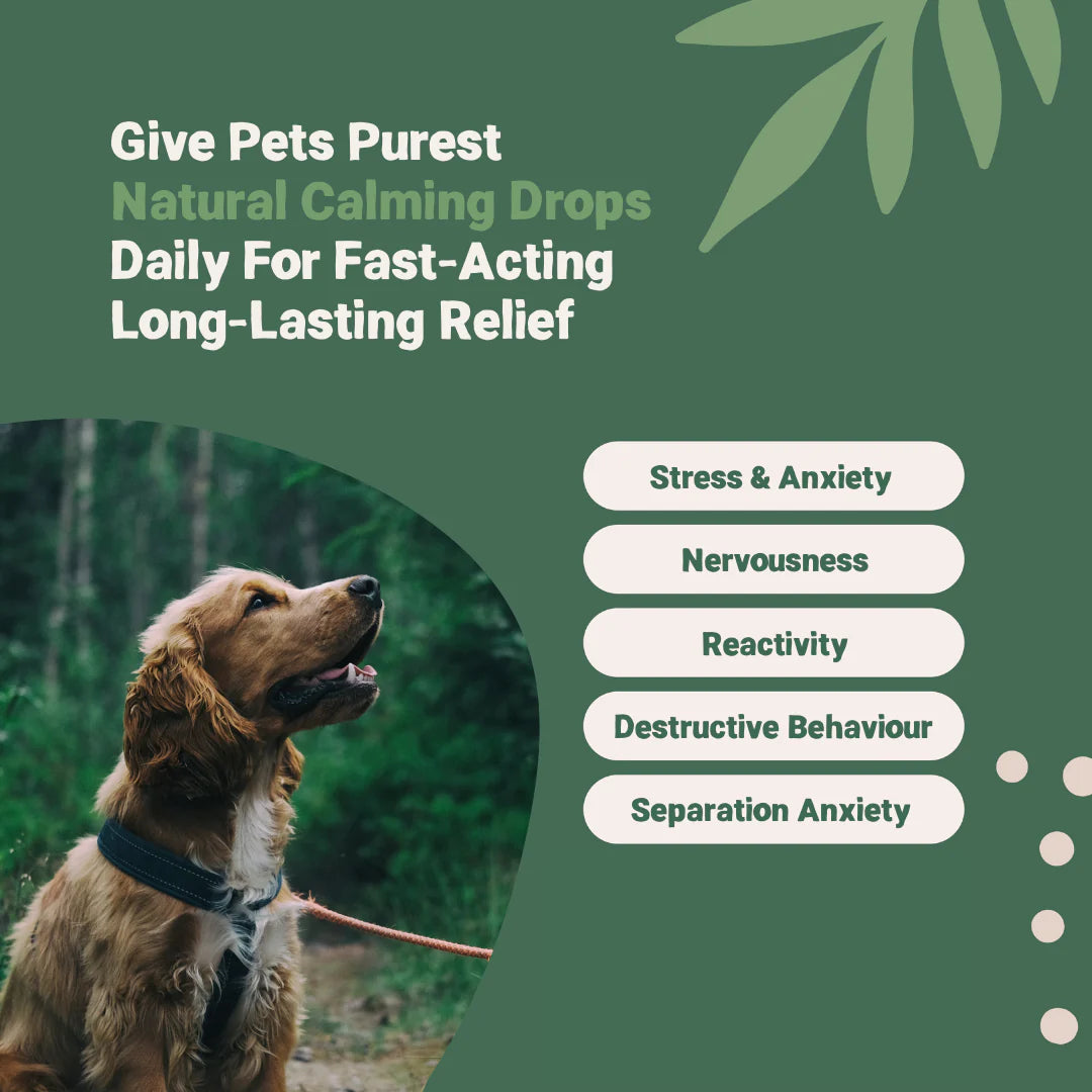 Pets Purest Calming Drops 50ml