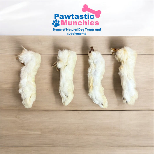 Hairy Rabbit Feet