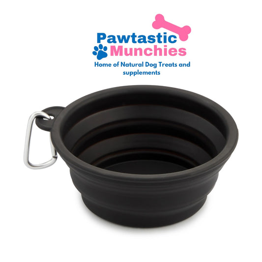 Foldable Dog Bowl