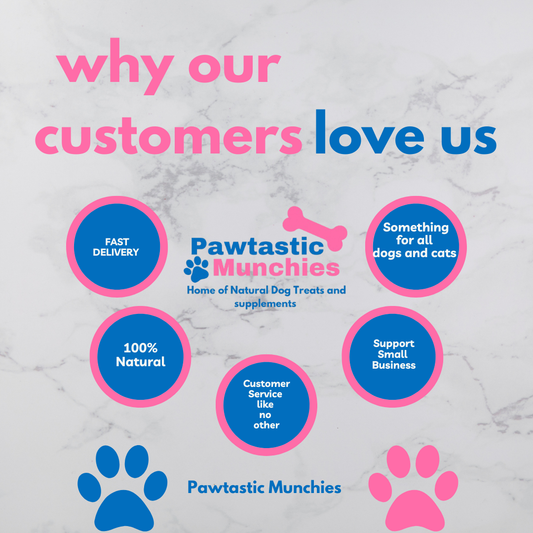 Hackney Dog House - Natural Dog Supplements