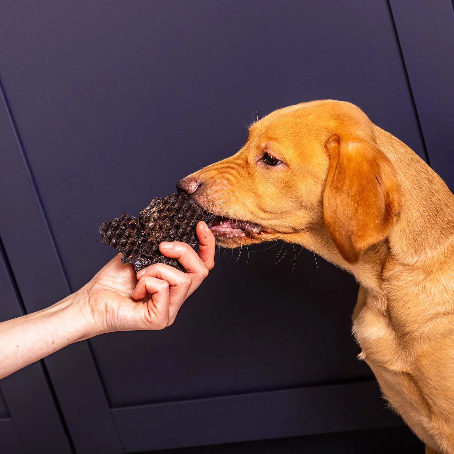 Rabbit Liver 150g - Natural Dog Treat