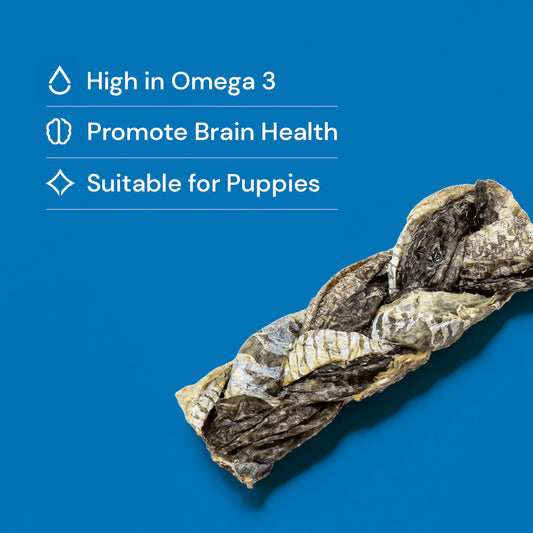 Fish Skin Braids - Natural Dog Chew
