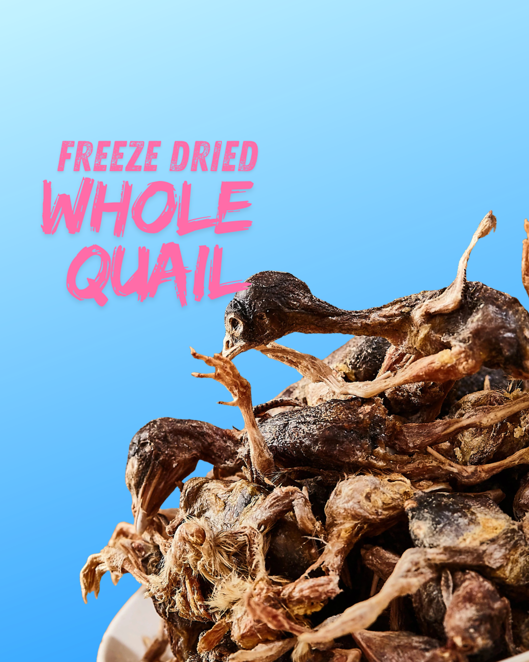 Pawtastic Munchies Freeze Dried Whole Quail Natural Dog & Cat Treats Pawtastic Munchies