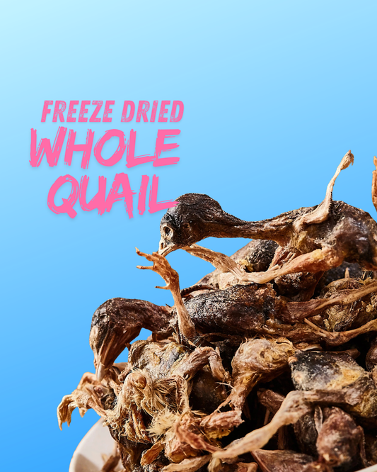 Pawtastic Munchies Freeze Dried Whole Quail Natural Dog & Cat Treats Pawtastic Munchies
