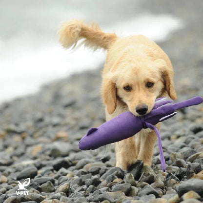 Squid – Save Our Seas Collection 🌊🦑 Pawtastic Munchies