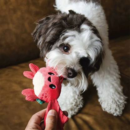 Crab – Sea Creatures 🦀🌊 Pawtastic Munchies