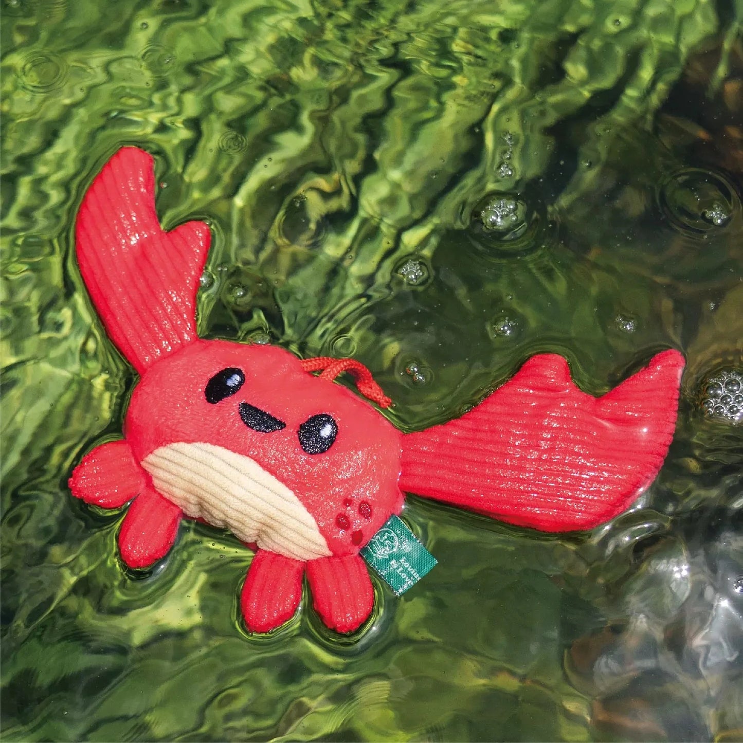 Crab – Sea Creatures 🦀🌊 Pawtastic Munchies