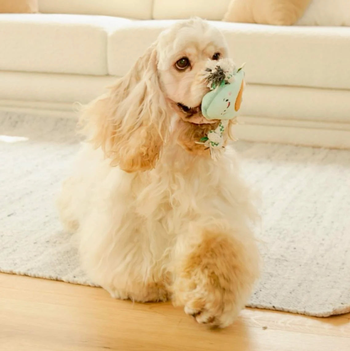 Stuffing-Free Avocado Pawtastic Munchies