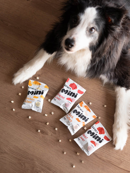 Waita Freeze Dried Mini Cubes 4 flavours perfect training treat pocket size Waita Pets