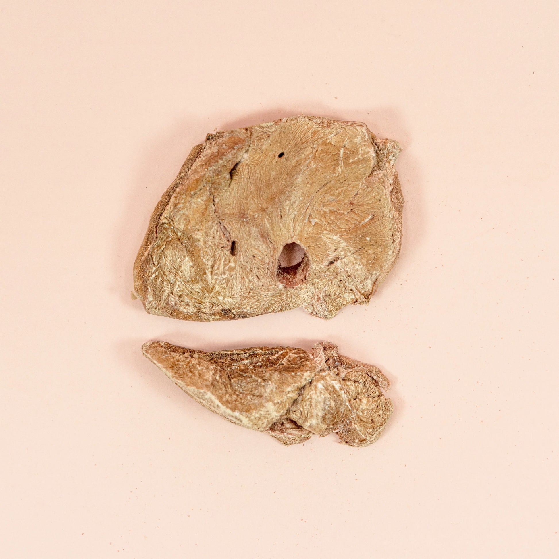 Waita Freeze Dried Ostrich Liver 50g suitable for dogs and cats Waita Pets